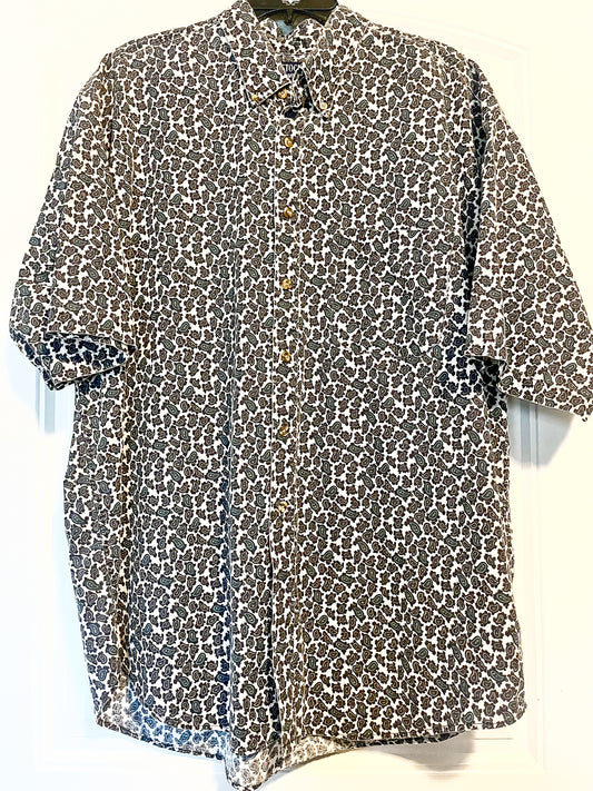The Paisley